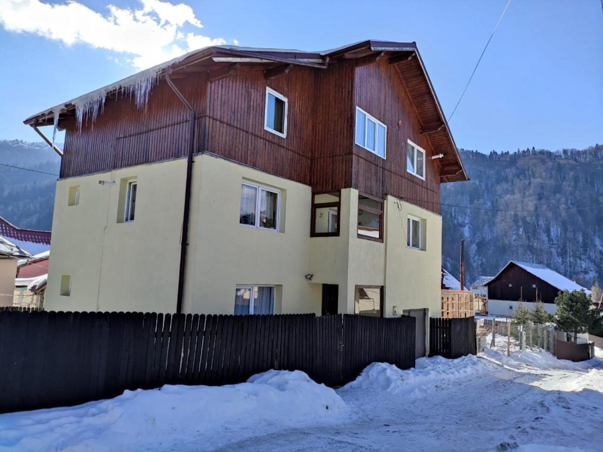 Cozy Attic Azuga Villa Exterior photo